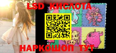 твердый Заводоуковск
