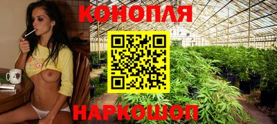 твердый Заводоуковск